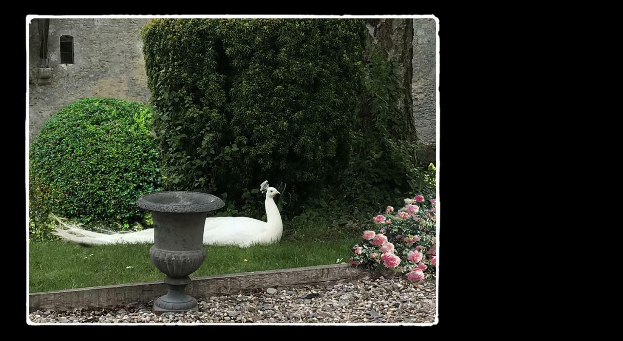 Manoir De Livet Bed & Breakfast Saint-Germain-de-Livet Bagian luar foto